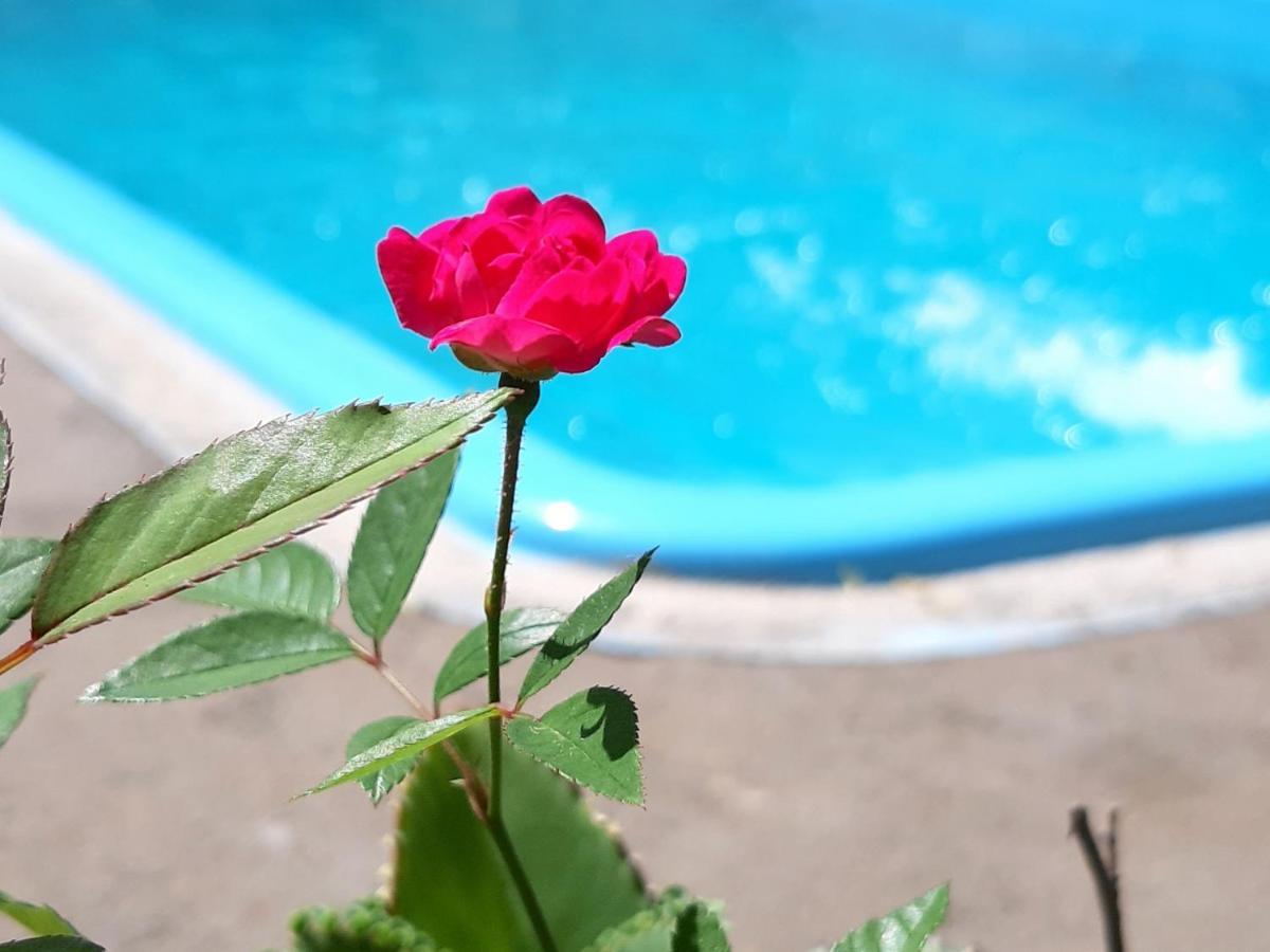 Pousada Acalanto Aracaju Exteriér fotografie